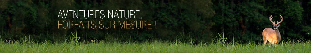 Aventures nature, forfaits sur mesure!