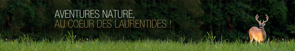 Aventures nature, au coeur des laurentides!
